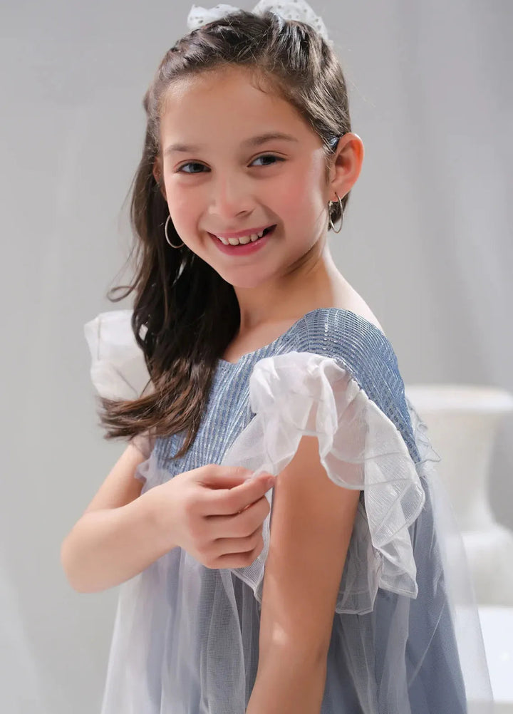 Sprinkles Pret Embroidered Net 1 Piece Suit SPDR648 Crystal Belle