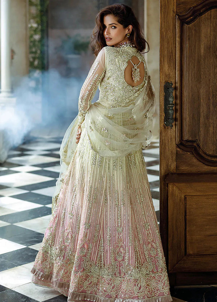 Stardust by Mushq Embroidered Net Suit Unstitched 4 Piece MQ24SW MWD-06 Cosmic Couture - Formal Collection