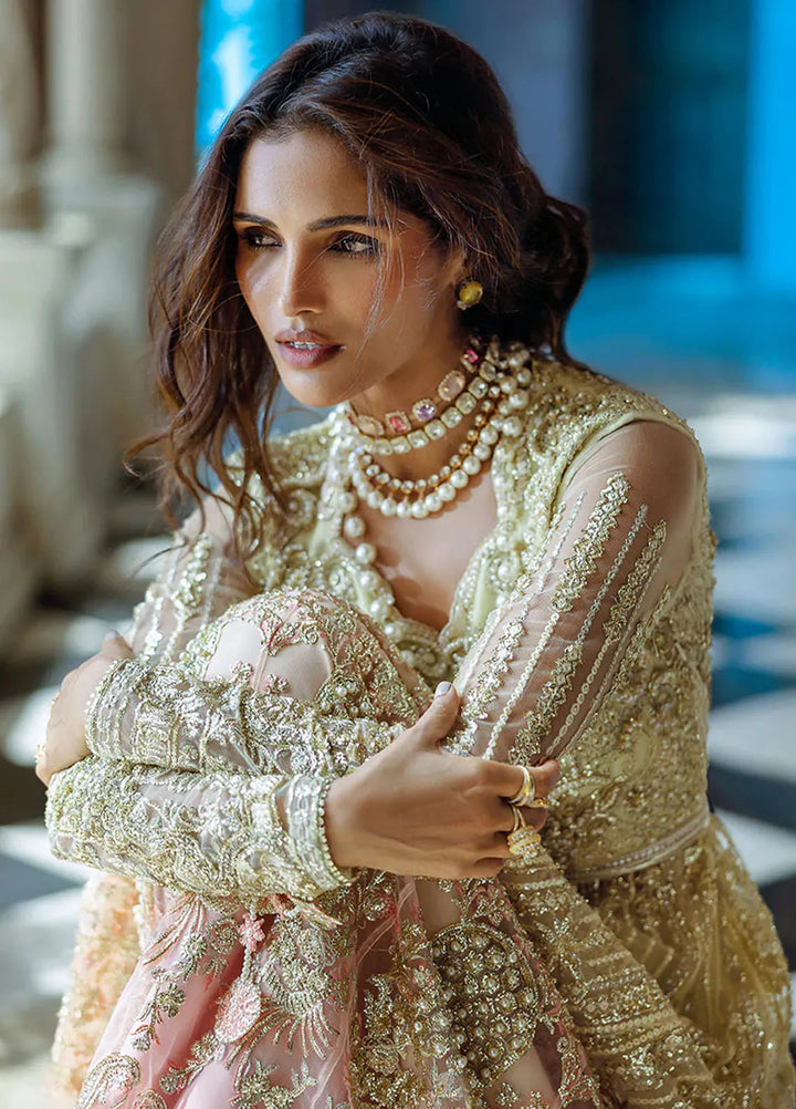 Stardust by Mushq Embroidered Net Suit Unstitched 4 Piece MQ24SW MWD-06 Cosmic Couture - Formal Collection