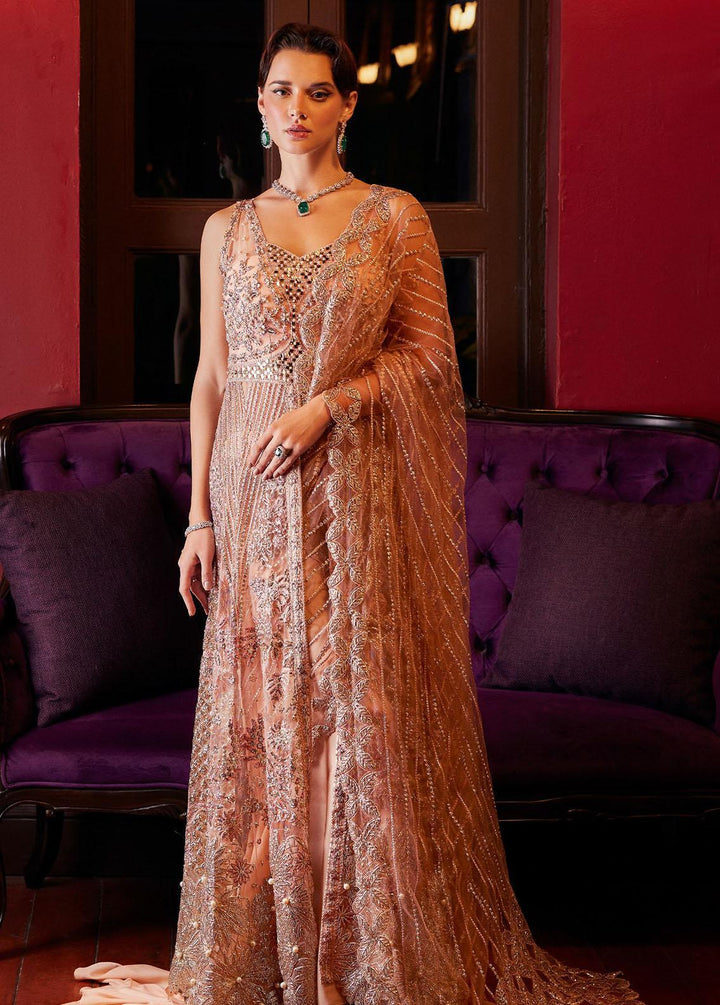 Stardust By Mushq Embroidered Net Suits Unstitched 4 Piece MQ23SD MW23-01 Twinkle - Wedding Collection