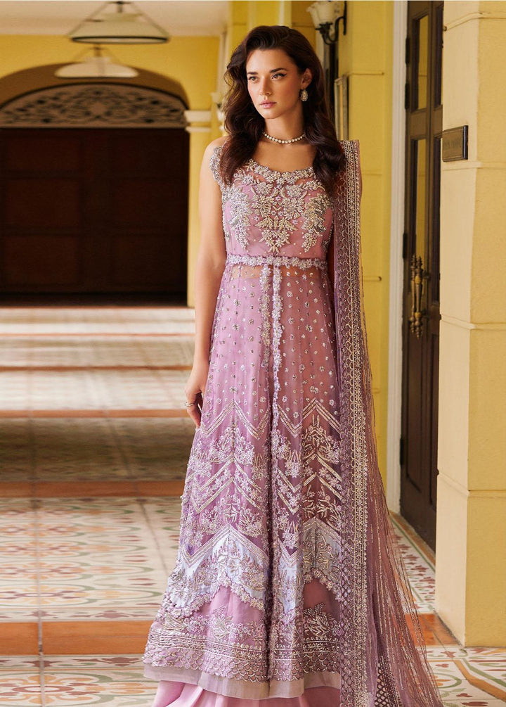 Stardust By Mushq Embroidered Net Suits Unstitched 4 Piece MQ23SD MW23-02 Enchant - Wedding Collection