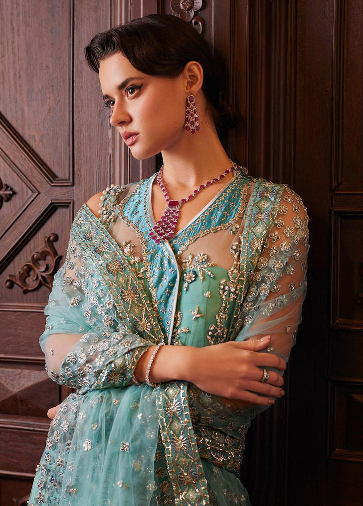 Stardust By Mushq Embroidered Net Suits Unstitched 4 Piece MQ23SD MW23-03 Astrum - Wedding Collection