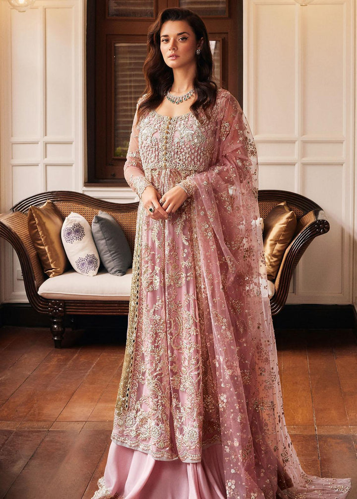 Stardust By Mushq Embroidered Net Suits Unstitched 4 Piece MQ23SD MW23-04 Luster - Wedding Collection