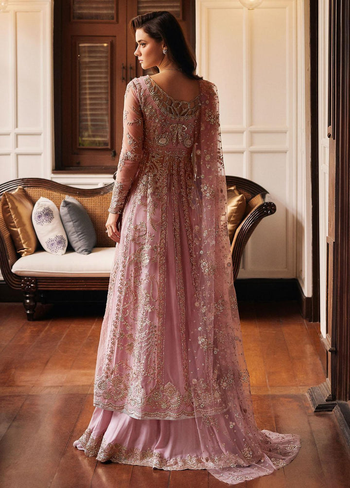 Stardust By Mushq Embroidered Net Suits Unstitched 4 Piece MQ23SD MW23-04 Luster - Wedding Collection