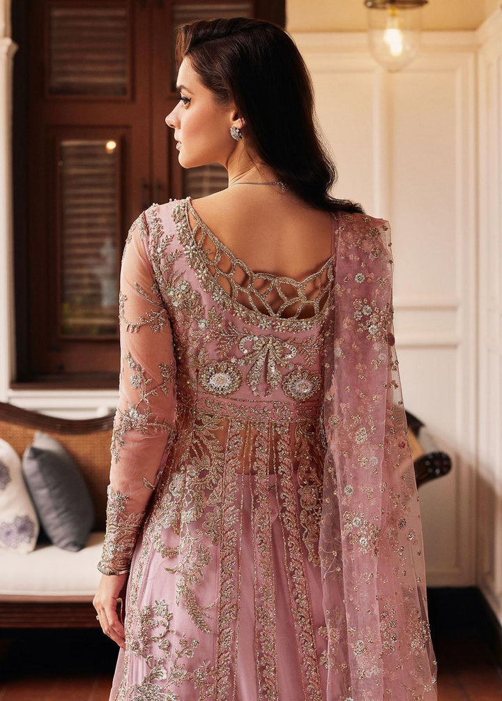 Stardust By Mushq Embroidered Net Suits Unstitched 4 Piece MQ23SD MW23-04 Luster - Wedding Collection