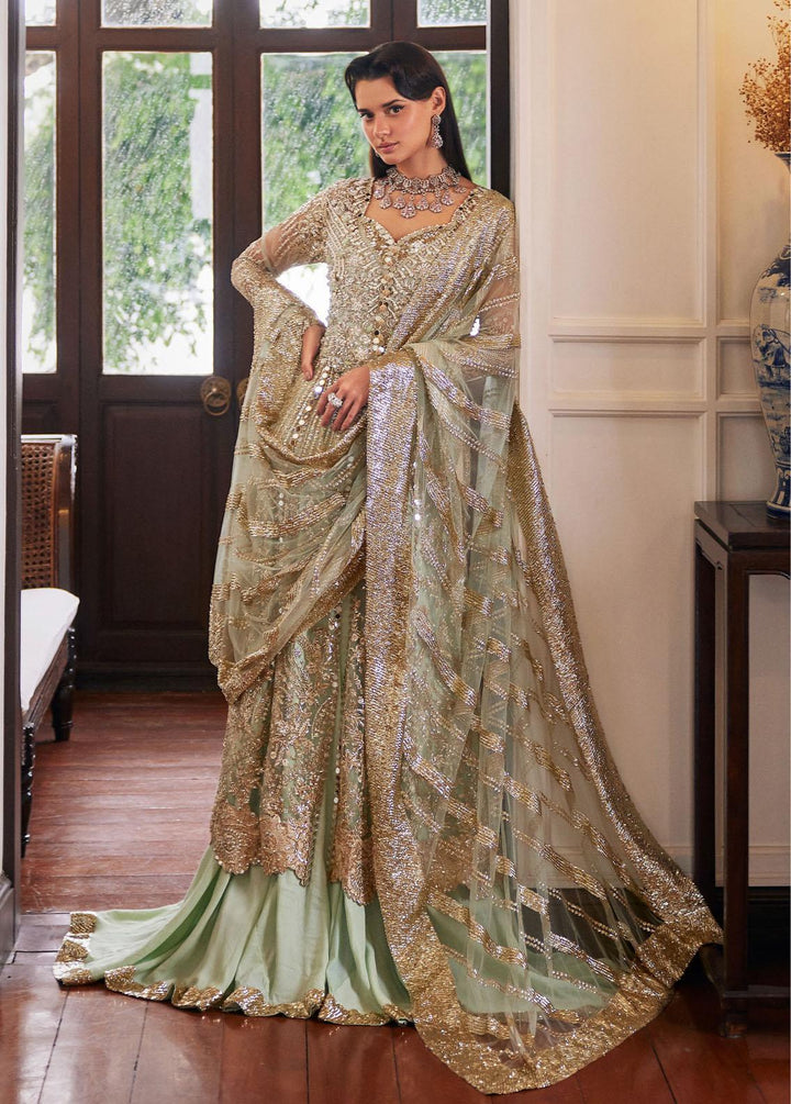 Stardust By Mushq Embroidered Net Suits Unstitched 4 Piece MQ23SD MW23-05 Twilight - Wedding Collection