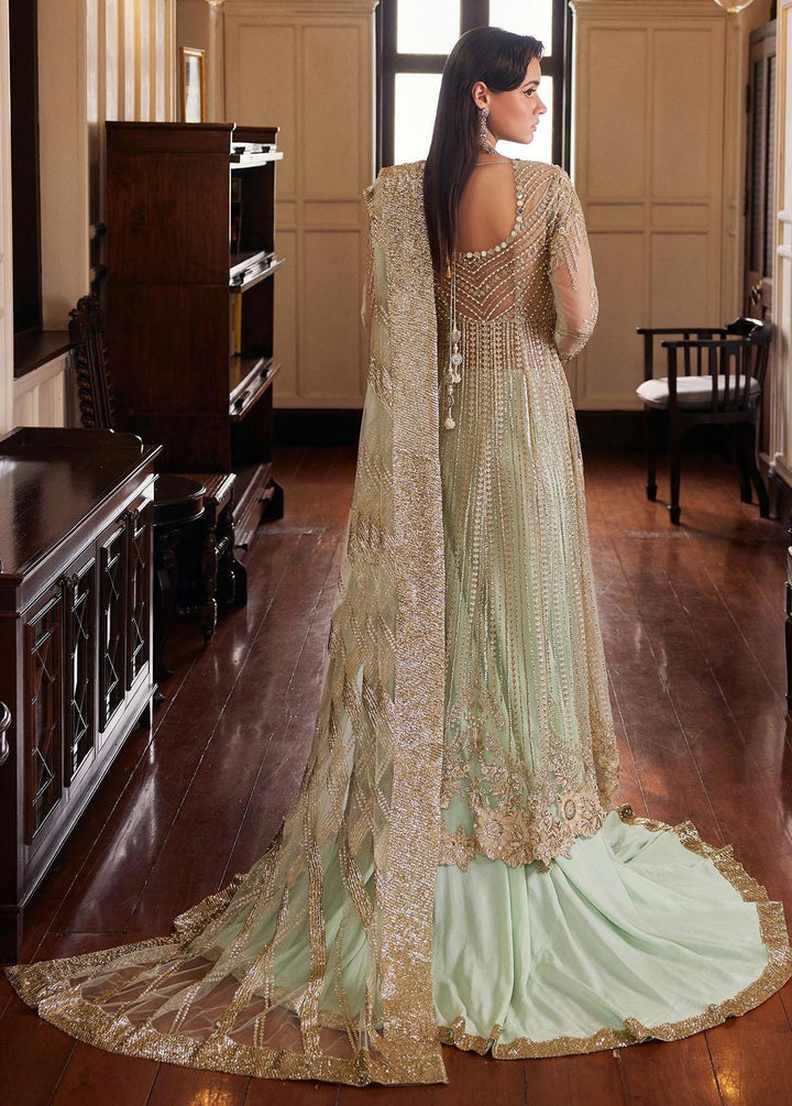 Stardust By Mushq Embroidered Net Suits Unstitched 4 Piece MQ23SD MW23-05 Twilight - Wedding Collection