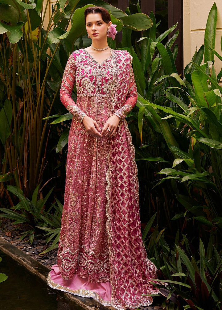 Stardust By Mushq Embroidered Net Suits Unstitched 4 Piece MQ23SD MW23-07 Cupid - Wedding Collection