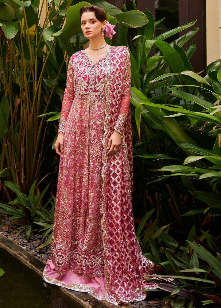 Stardust By Mushq Embroidered Net Suits Unstitched 4 Piece MQ23SD MW23-07 Cupid - Wedding Collection