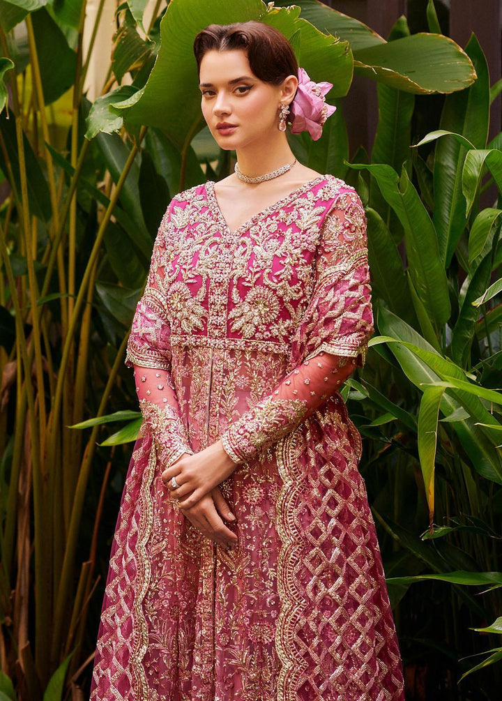 Stardust By Mushq Embroidered Net Suits Unstitched 4 Piece MQ23SD MW23-07 Cupid - Wedding Collection