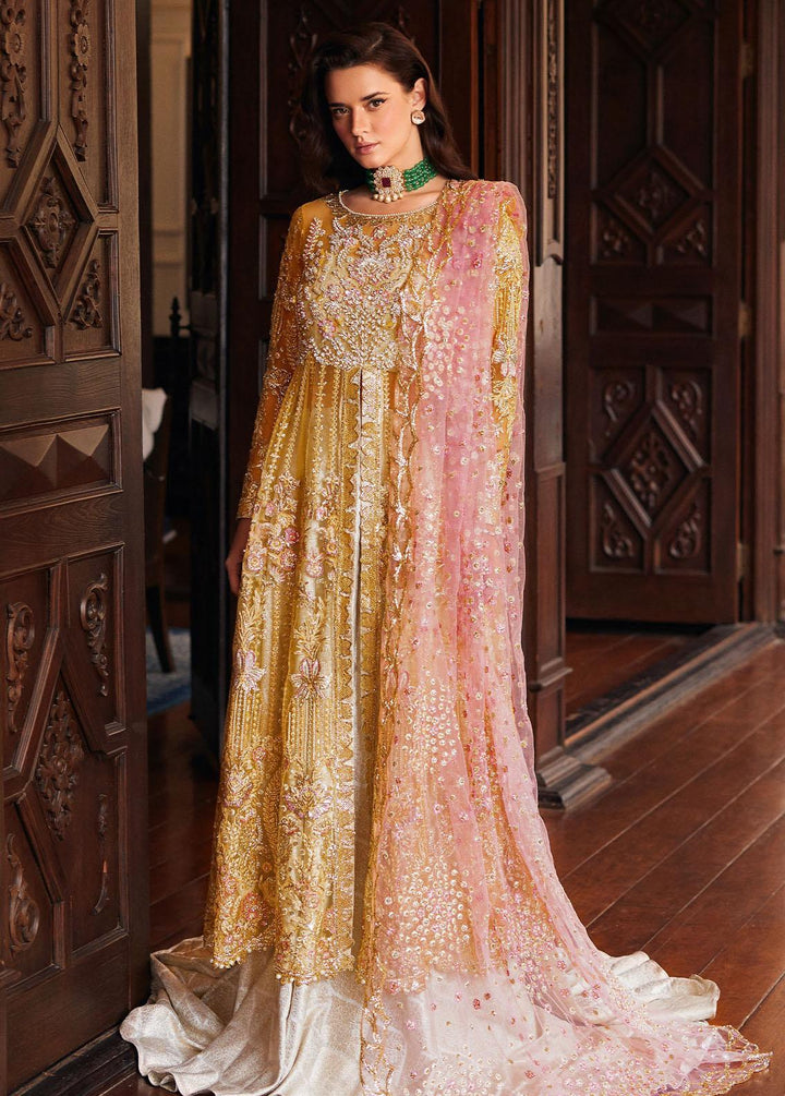 Stardust By Mushq Embroidered Net Suits Unstitched 4 Piece MQ23SD MW23-08 Sprinkle - Wedding Collection