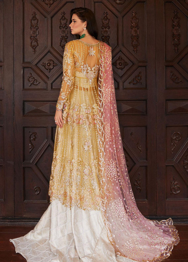 Stardust By Mushq Embroidered Net Suits Unstitched 4 Piece MQ23SD MW23-08 Sprinkle - Wedding Collection