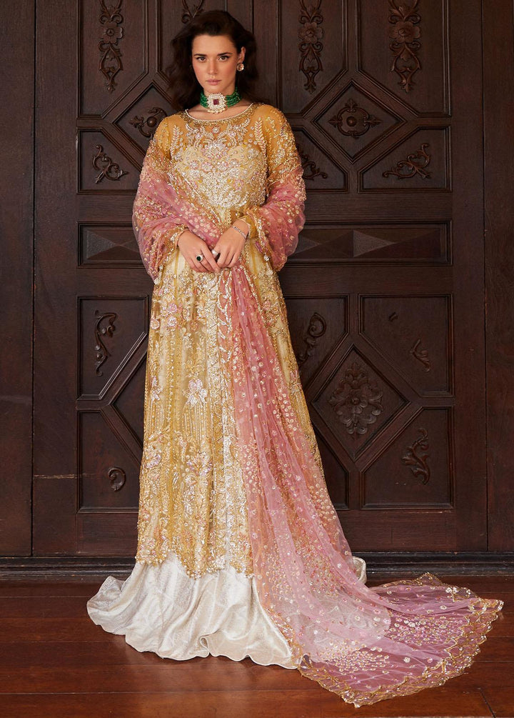 Stardust By Mushq Embroidered Net Suits Unstitched 4 Piece MQ23SD MW23-08 Sprinkle - Wedding Collection