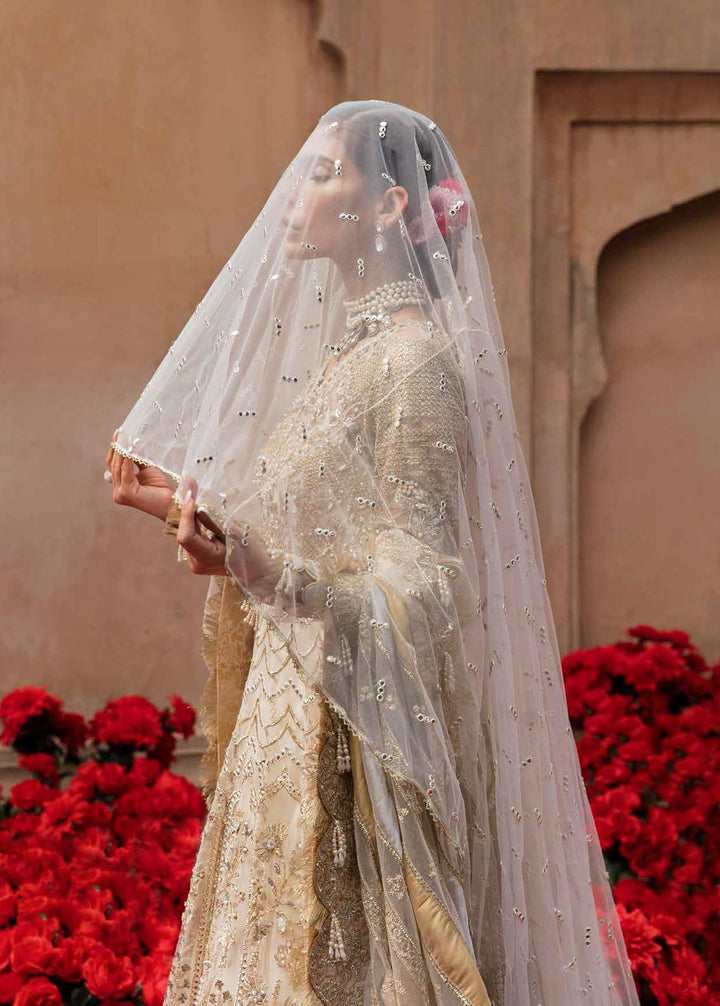 Afrozeh Pret Embroidered Net 3 Piece Dress AF22BP 001 Mahru