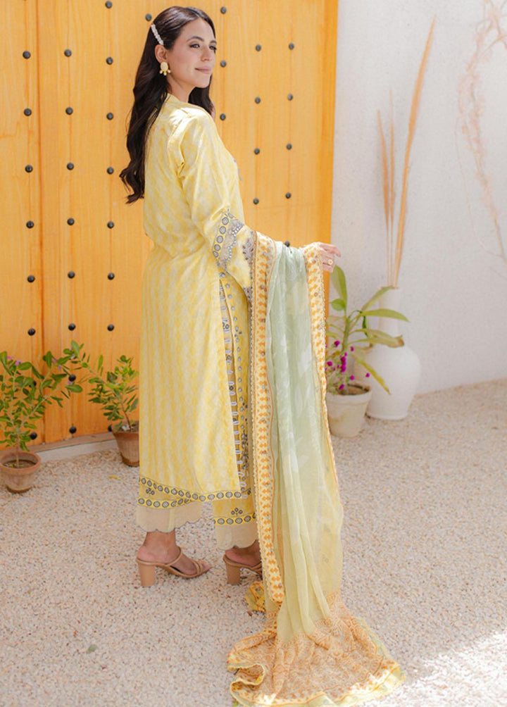 Sunshine Bloom By Al Zohaib Embroidered Cambric Suits Unstitched 3 Piece AZ23PK 03 - Winter Collection