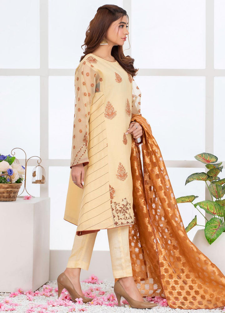 Mosaic Pret Luxury Organza 3 Piece Suit MS21S 05 BROWN