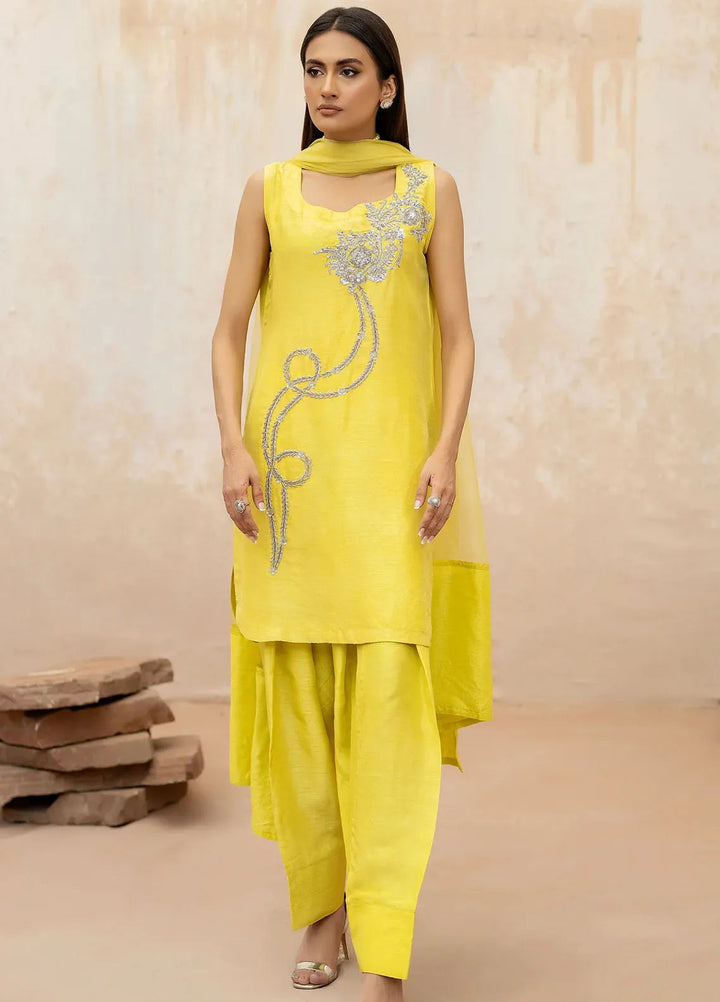 Syah Pret Embellished Raw Silk 3 Piece Suit EST-012 TILISMI