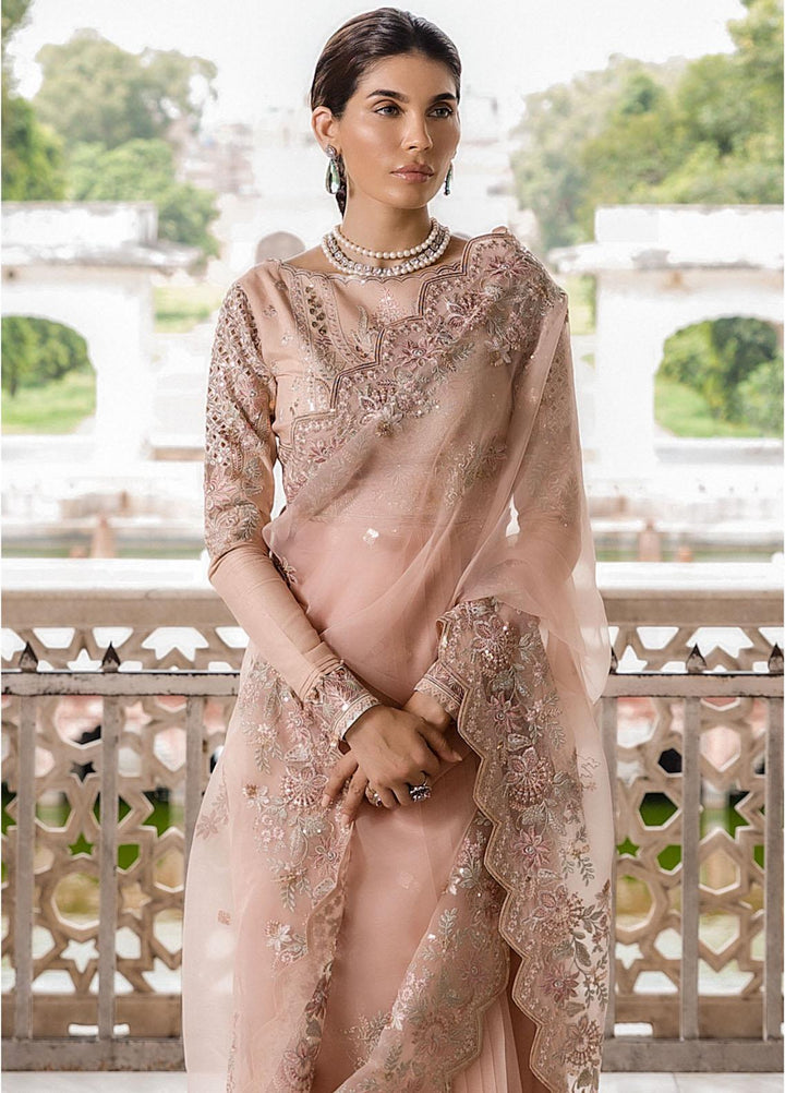Taaruf By Seran Embroidered Raw Silk  Unstitched Saree SRN23TF D-02 Roohi - Luxury Formal Collection