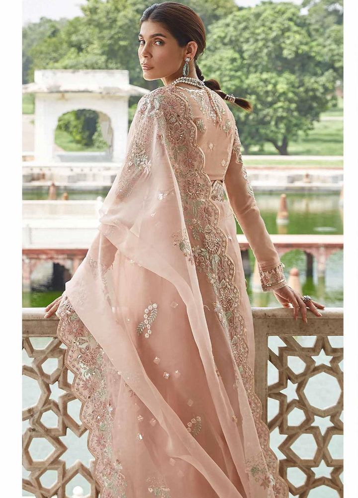 Taaruf By Seran Embroidered Raw Silk  Unstitched Saree SRN23TF D-02 Roohi - Luxury Formal Collection