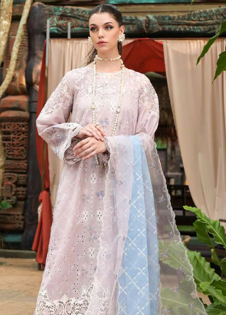 Tabeer Embroidered Lawn Suit Unstitched 3 Piece TBR24L D-03 - Summer Collection