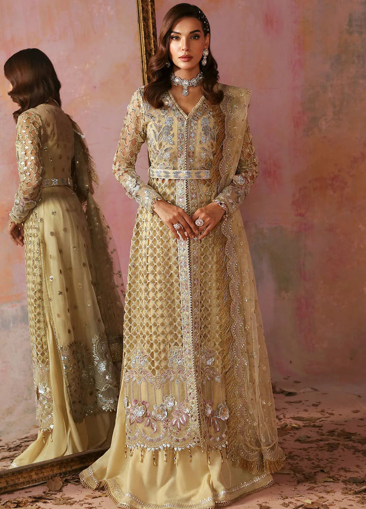 Tara By Sardinia Embroidered Organza Suits Unstitched 3 Piece SRD24T D-01 Glimmer - Festive Collection