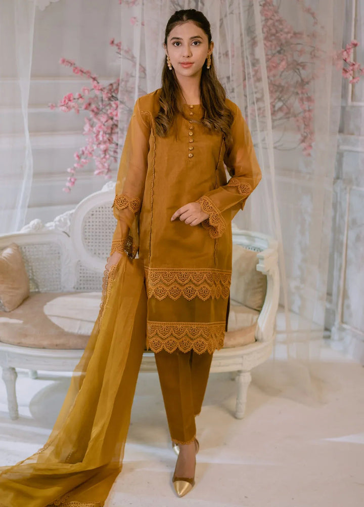 Tassawur Pret Embellished Organza Silk 3 Piece Suit Coffee Brown