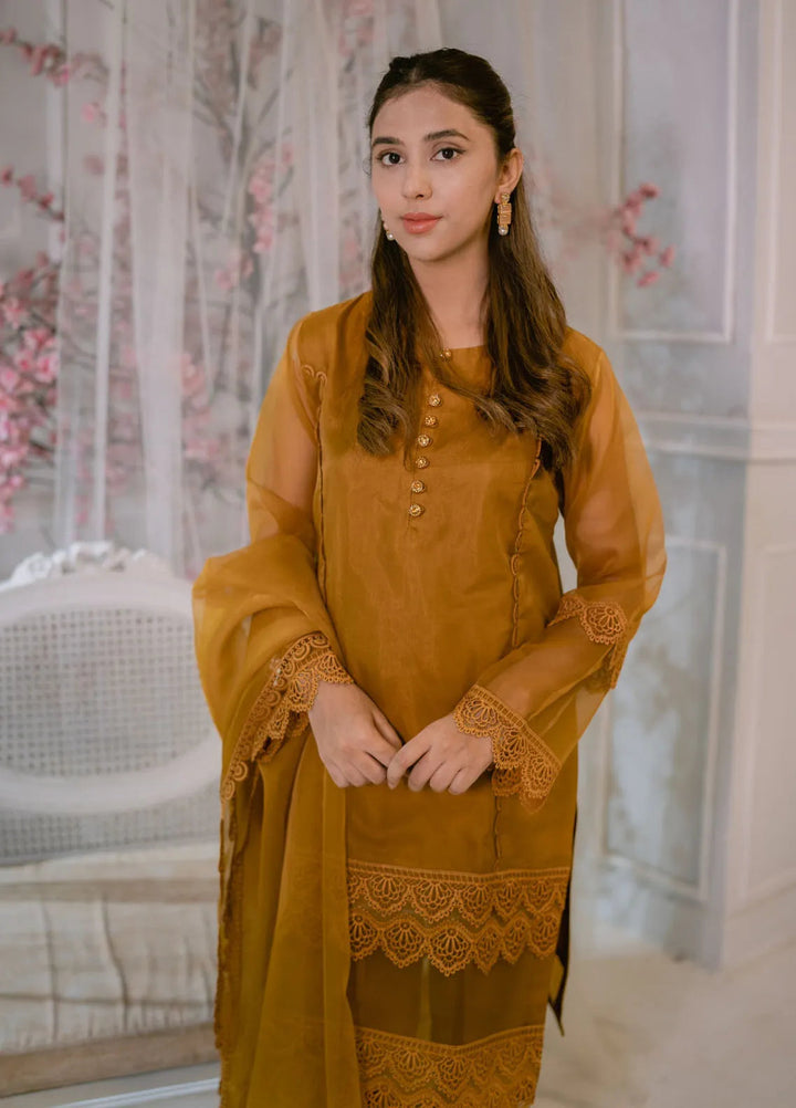 Tassawur Pret Embellished Organza Silk 3 Piece Suit Coffee Brown