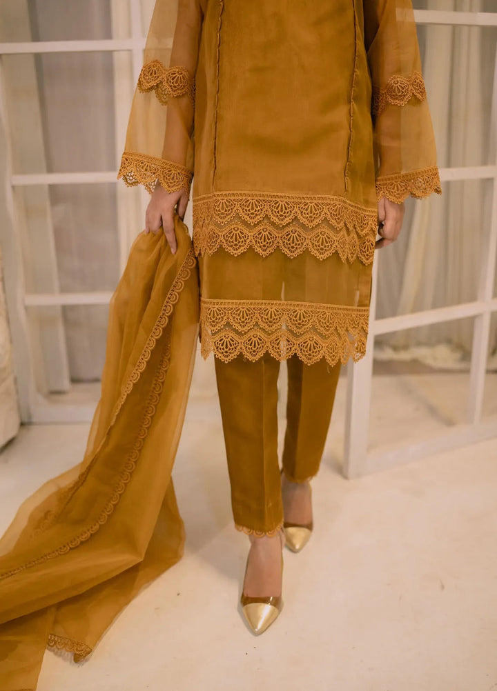 Tassawur Pret Embellished Organza Silk 3 Piece Suit Coffee Brown