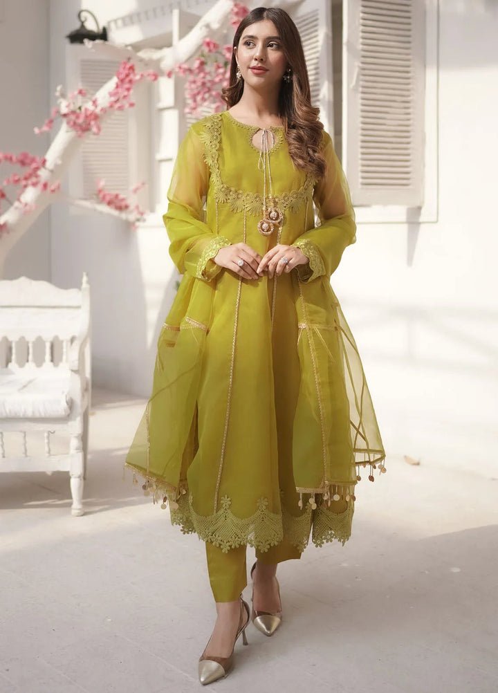 Tassawur Pret Embroidered Organza 3 Piece Suit Zebaish