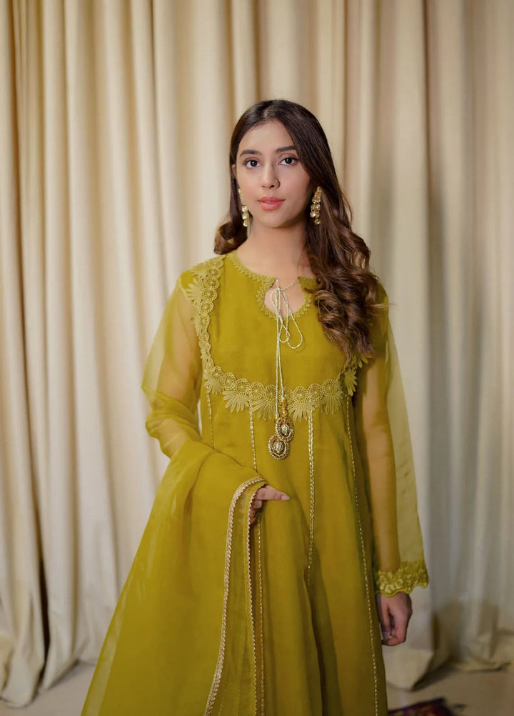 Tassawur Pret Embroidered Organza 3 Piece Suit Zebaish