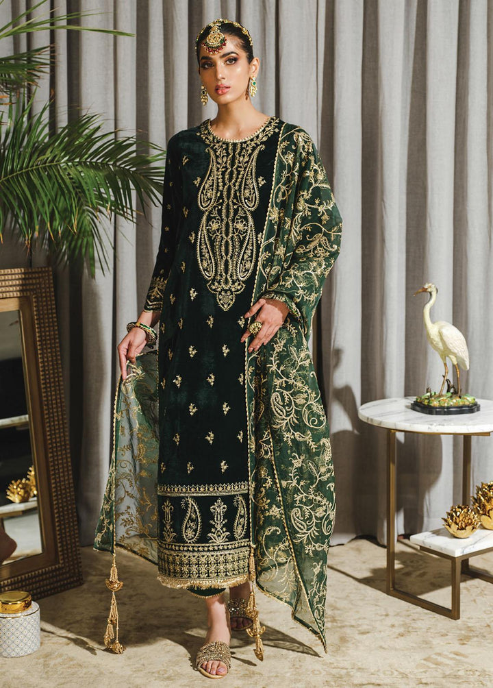 Tehwaar By Rang Rasiya Embroidered Velvet Suits Unstitched 3 Piece RR22T D-02  Jaha Aara - Luxury Collection