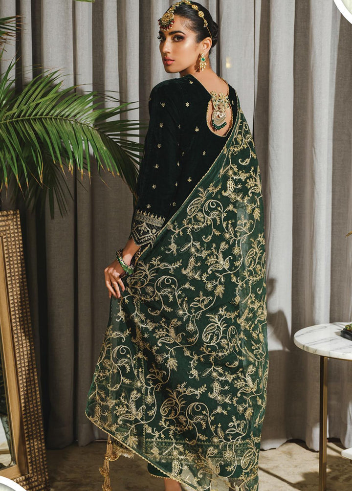 Tehwaar By Rang Rasiya Embroidered Velvet Suits Unstitched 3 Piece RR22T D-02  Jaha Aara - Luxury Collection