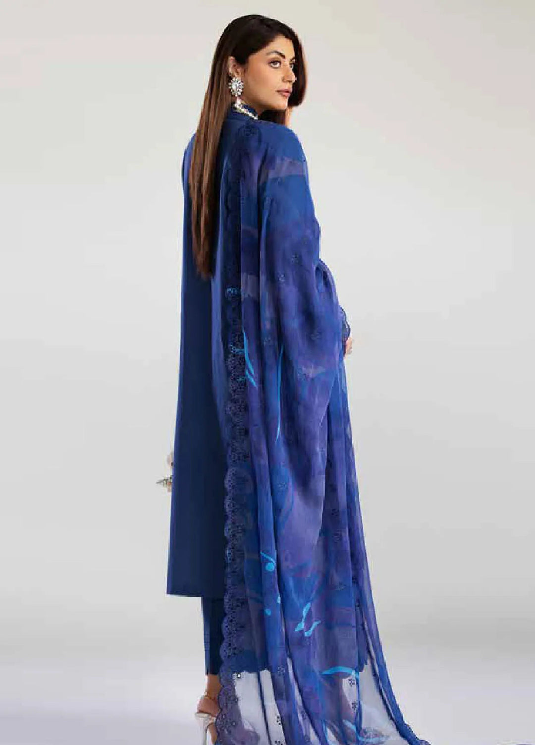 Tehzeeb By Riaz Arts Chikankari Lawn Suit Unstitched 3 Piece RA24T TL-244 - Summer Collection