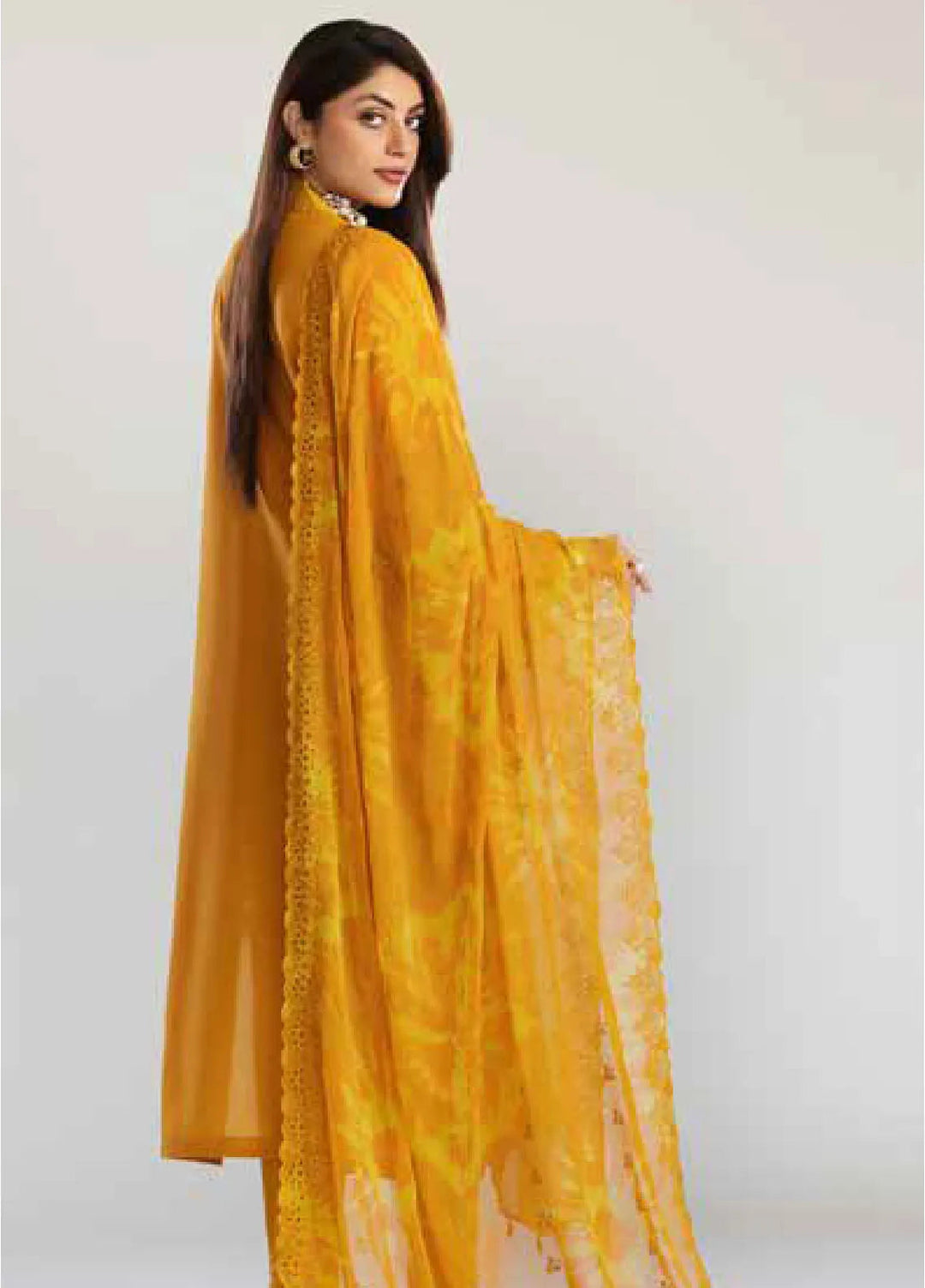 Tehzeeb By Riaz Arts Chikankari Lawn Suit Unstitched 3 Piece RA24T TL-245 - Summer Collection