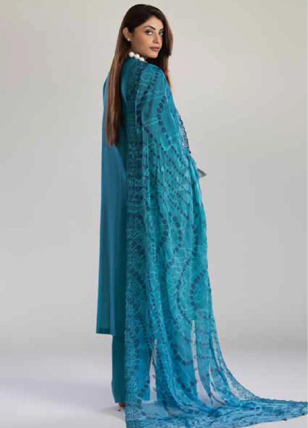 Tehzeeb By Riaz Arts Chikankari Lawn Suit Unstitched 3 Piece RA24T TL-247 - Summer Collection