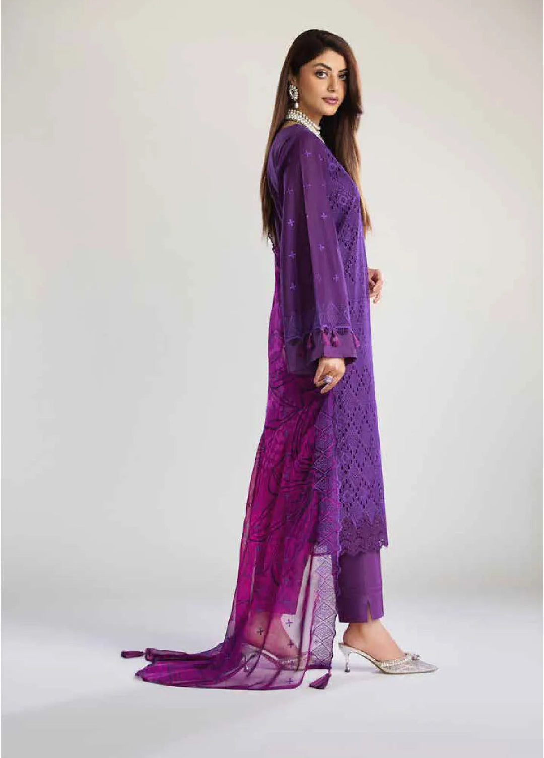 Tehzeeb By Riaz Arts Chikankari Lawn Suit Unstitched 3 Piece RA24T TL-248 - Summer Collection