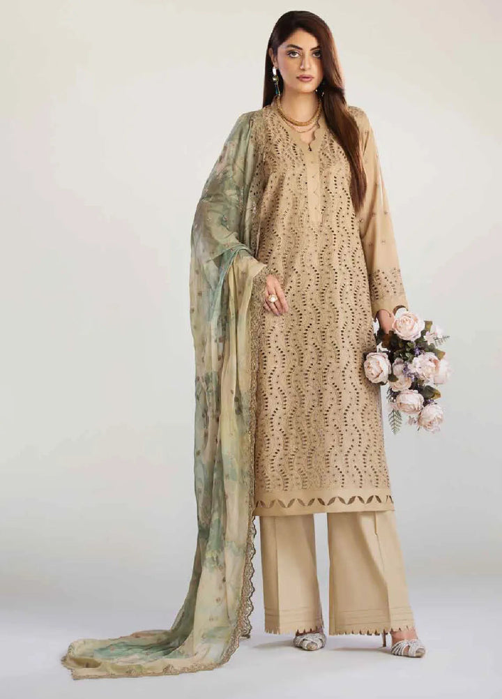 Tehzeeb By Riaz Arts Chikankari Lawn Suit Unstitched 3 Piece RA24T TL-249 - Summer Collection