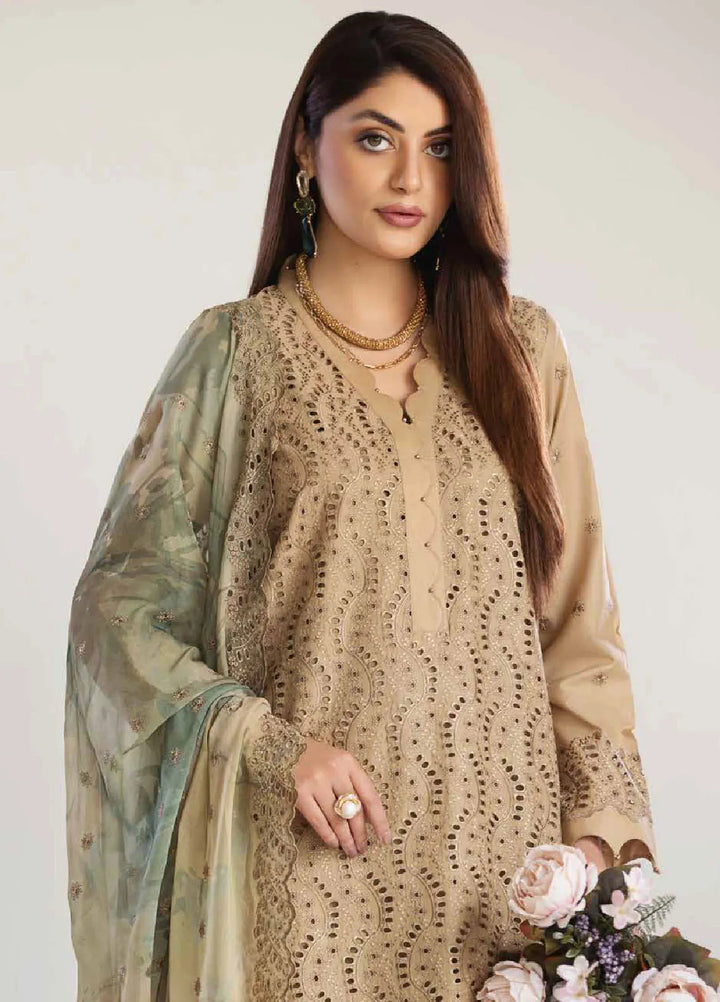 Tehzeeb By Riaz Arts Chikankari Lawn Suit Unstitched 3 Piece RA24T TL-249 - Summer Collection