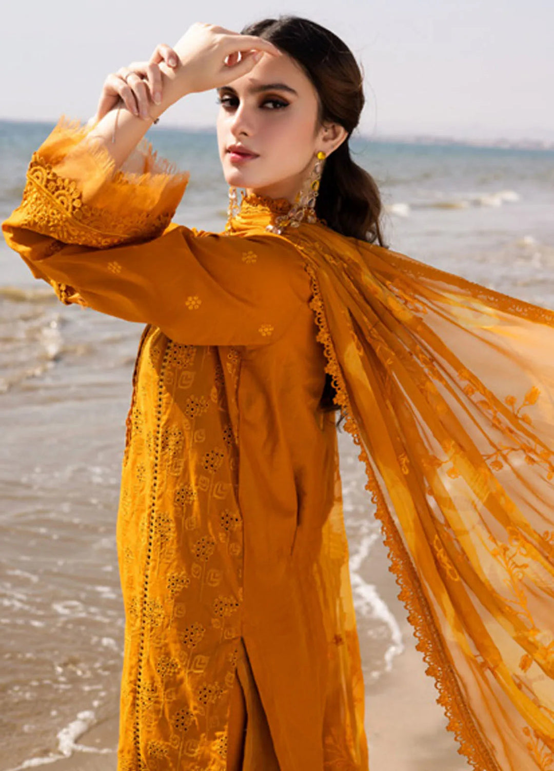 Tehzeeb by Riaz Arts Chikankari Lawn Suits Unstitched 3 Piece RA25TCL TL-425 - Summer Collection