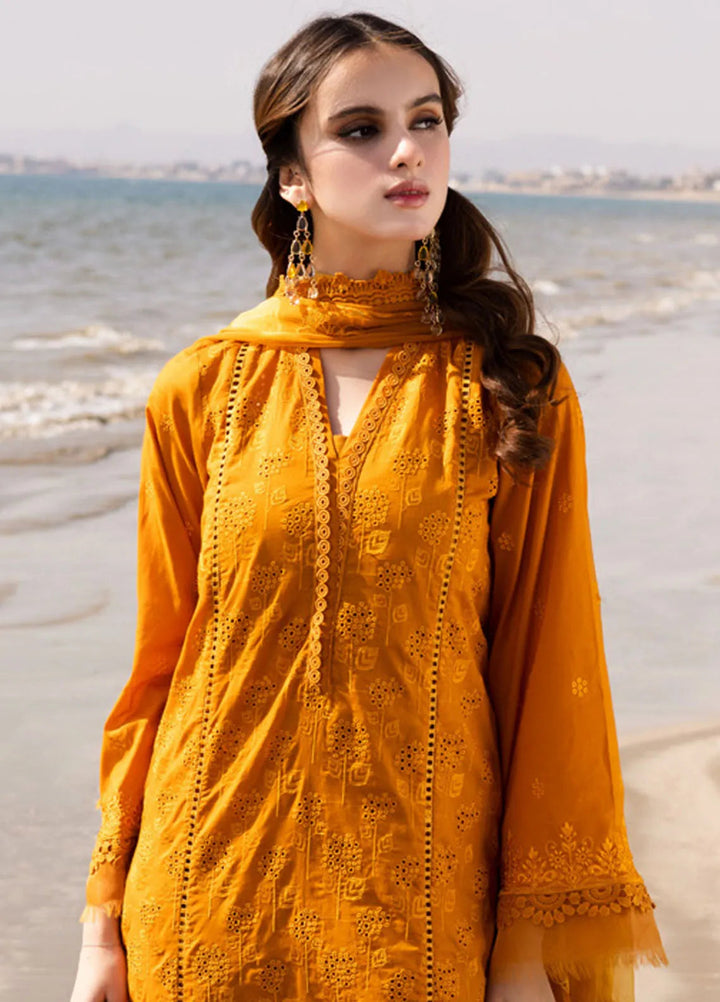 Tehzeeb by Riaz Arts Chikankari Lawn Suits Unstitched 3 Piece RA25TCL TL-425 - Summer Collection