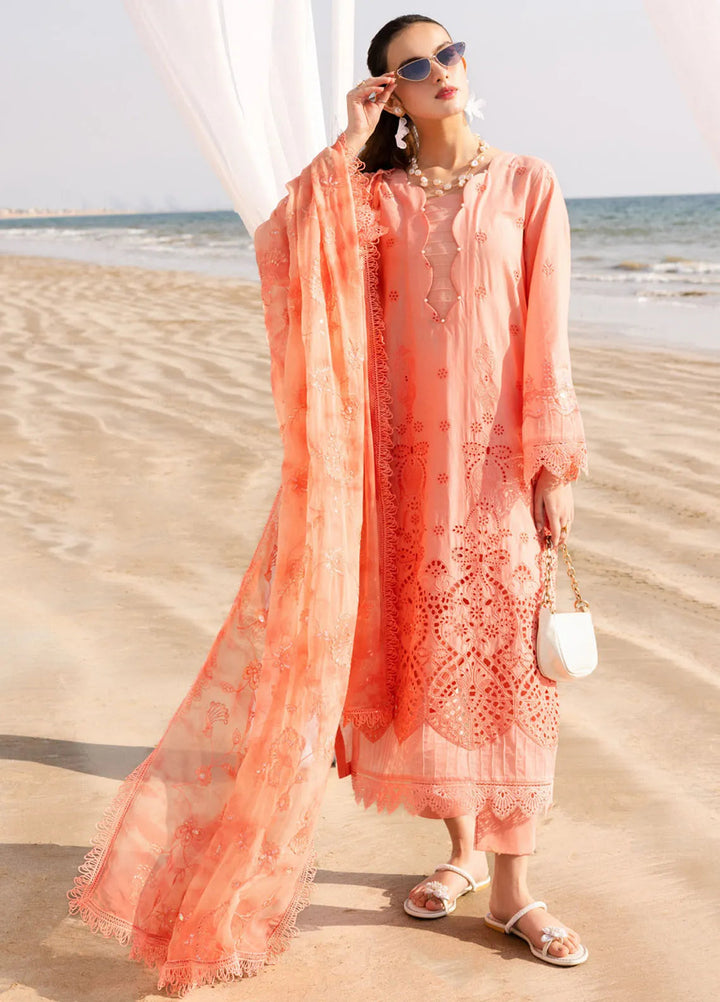 Tehzeeb by Riaz Arts Chikankari Lawn Suits Unstitched 3 Piece RA25TCL TL-426 - Summer Collection