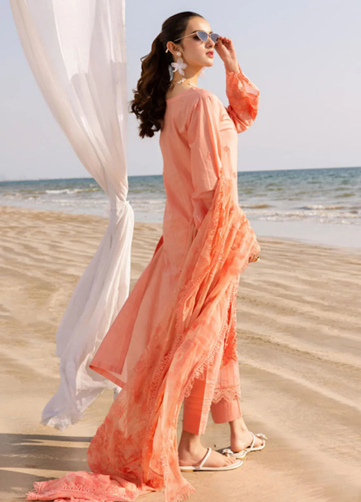 Tehzeeb by Riaz Arts Chikankari Lawn Suits Unstitched 3 Piece RA25TCL TL-426 - Summer Collection