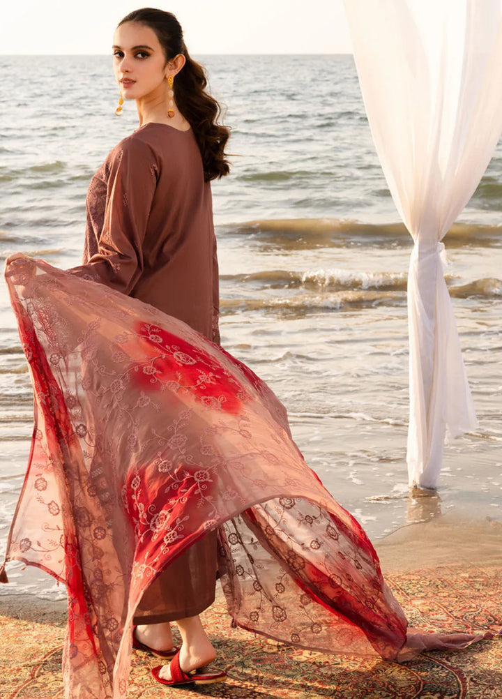 Tehzeeb by Riaz Arts Chikankari Lawn Suits Unstitched 3 Piece RA25TCL TL-428 - Summer Collection