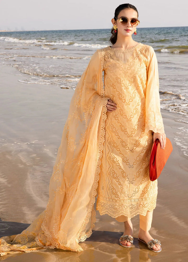 Tehzeeb by Riaz Arts Chikankari Lawn Suits Unstitched 3 Piece RA25TCL TL-430 - Summer Collection