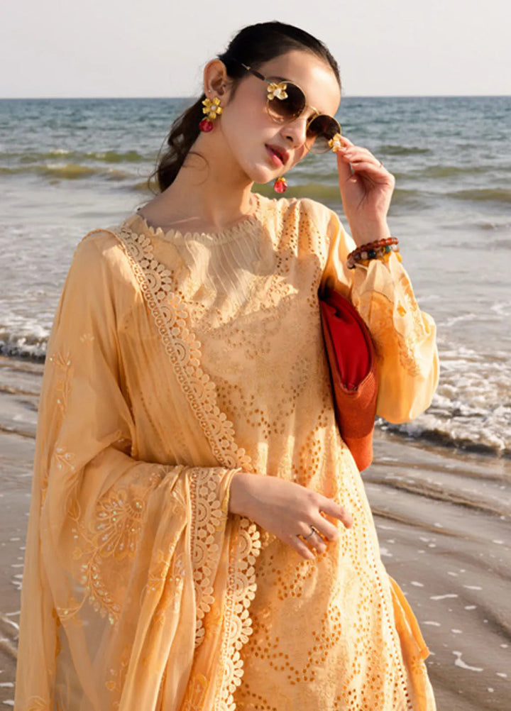 Tehzeeb by Riaz Arts Chikankari Lawn Suits Unstitched 3 Piece RA25TCL TL-430 - Summer Collection