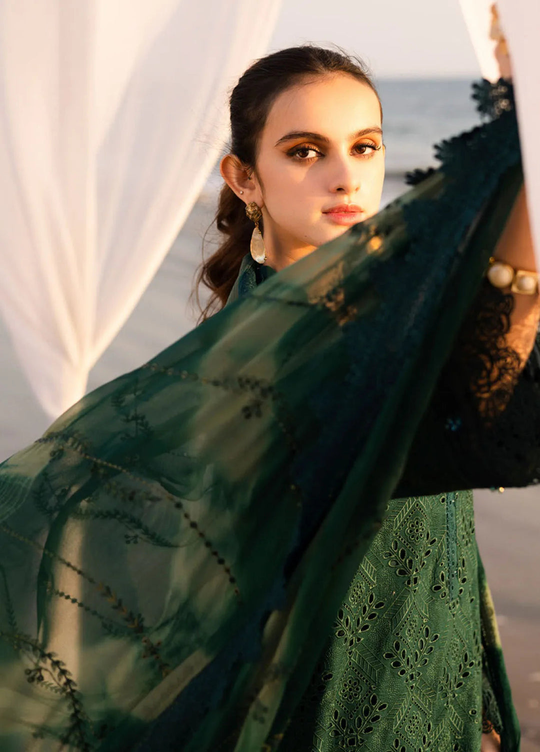 Tehzeeb by Riaz Arts Chikankari Lawn Suits Unstitched 3 Piece RA25TCL TL-432 - Summer Collection