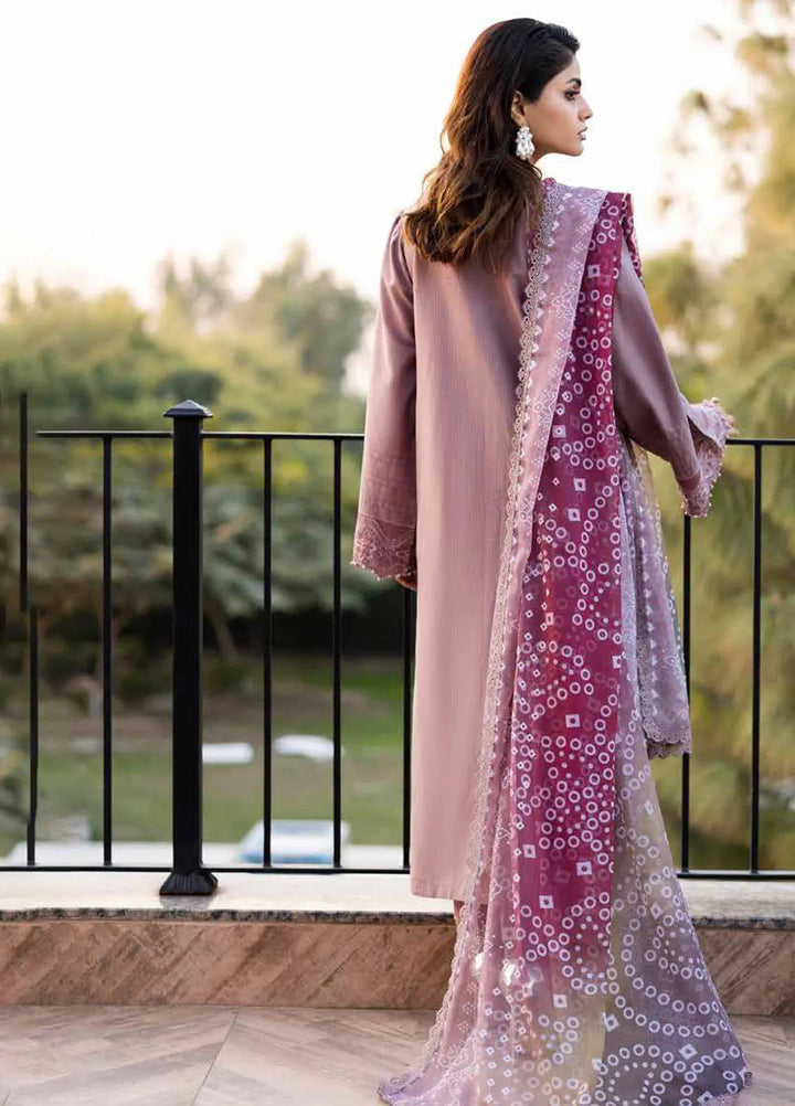 Tehzeeb by Riaz Arts Chikankari Lawn Suits Unstitched 3 Piece RA25TEC TL-447 - Summer Collection