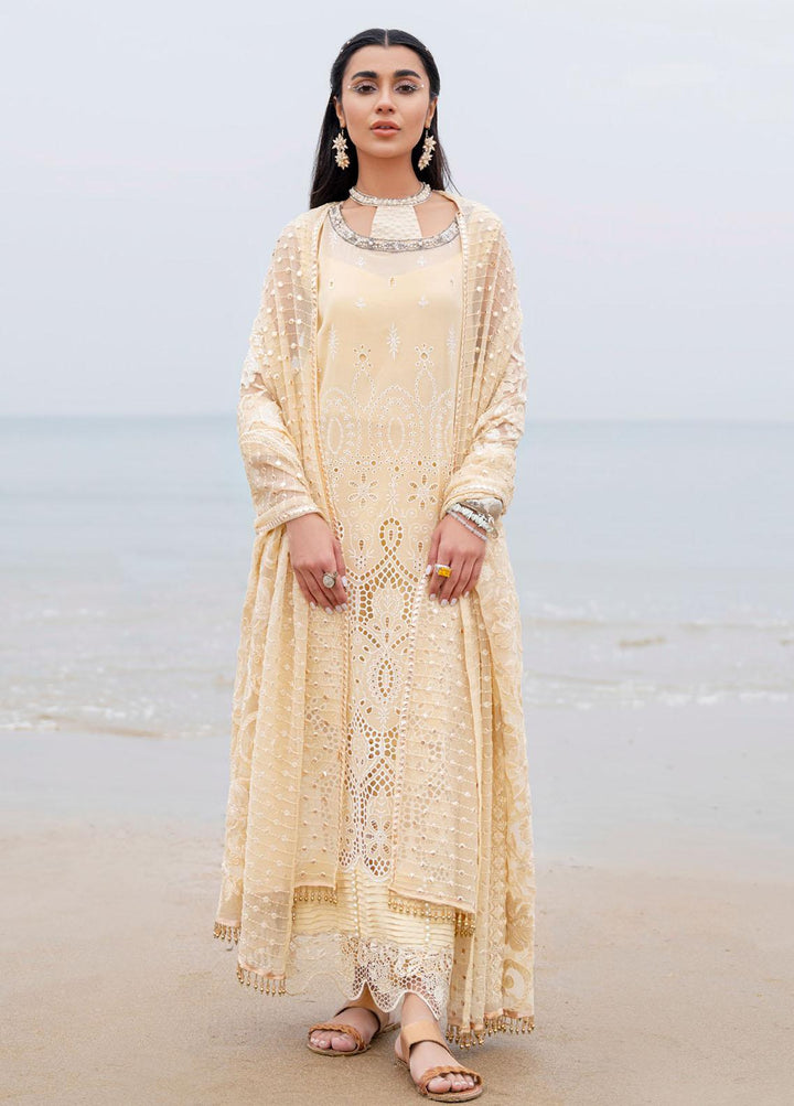 Tere Sang By Nureh Embroidered Lawn Suits Unstitched 3 Piece NU23TS NSL-04 - Summer Collection