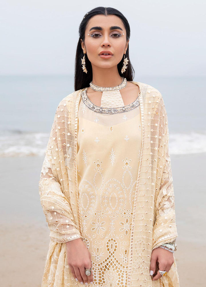 Tere Sang By Nureh Embroidered Lawn Suits Unstitched 3 Piece NU23TS NSL-04 - Summer Collection