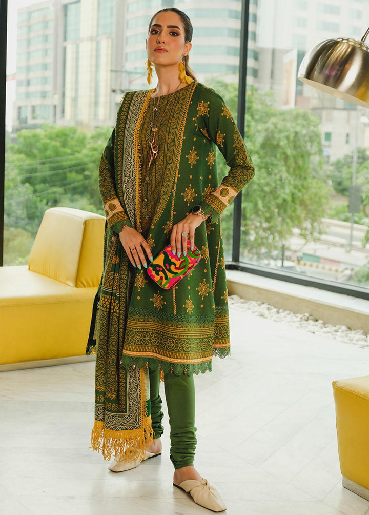 The Winter Affair By Rang Rasiya Printed Chambray Suits Unstitched 3 Piece RR22WA 35 Zeenat - Winter Collection